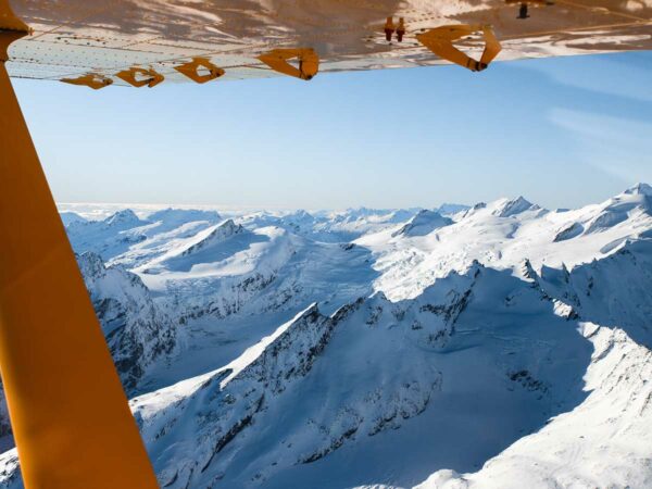 glaciers and mt aspiring on a scenic flight from milford sound to wanaka with southern alps air