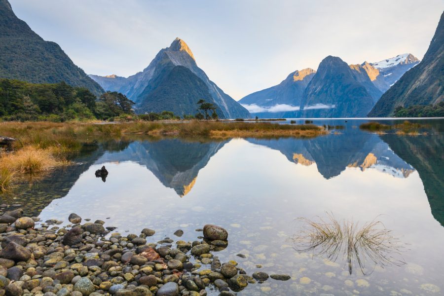 The Best Ways to Visit Milford Sound
